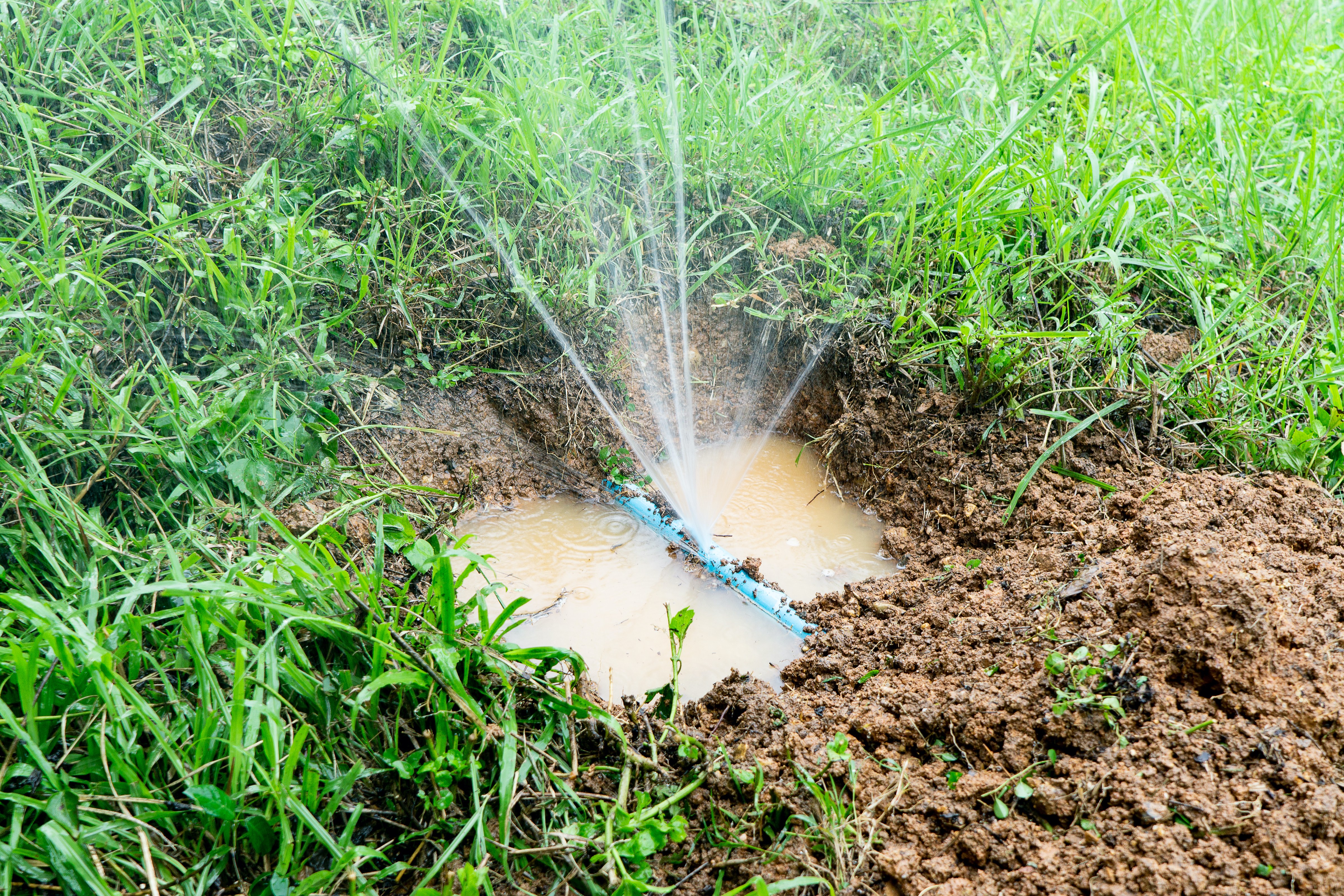 Water sprays from an exposed broken pipe in a grassy yard.