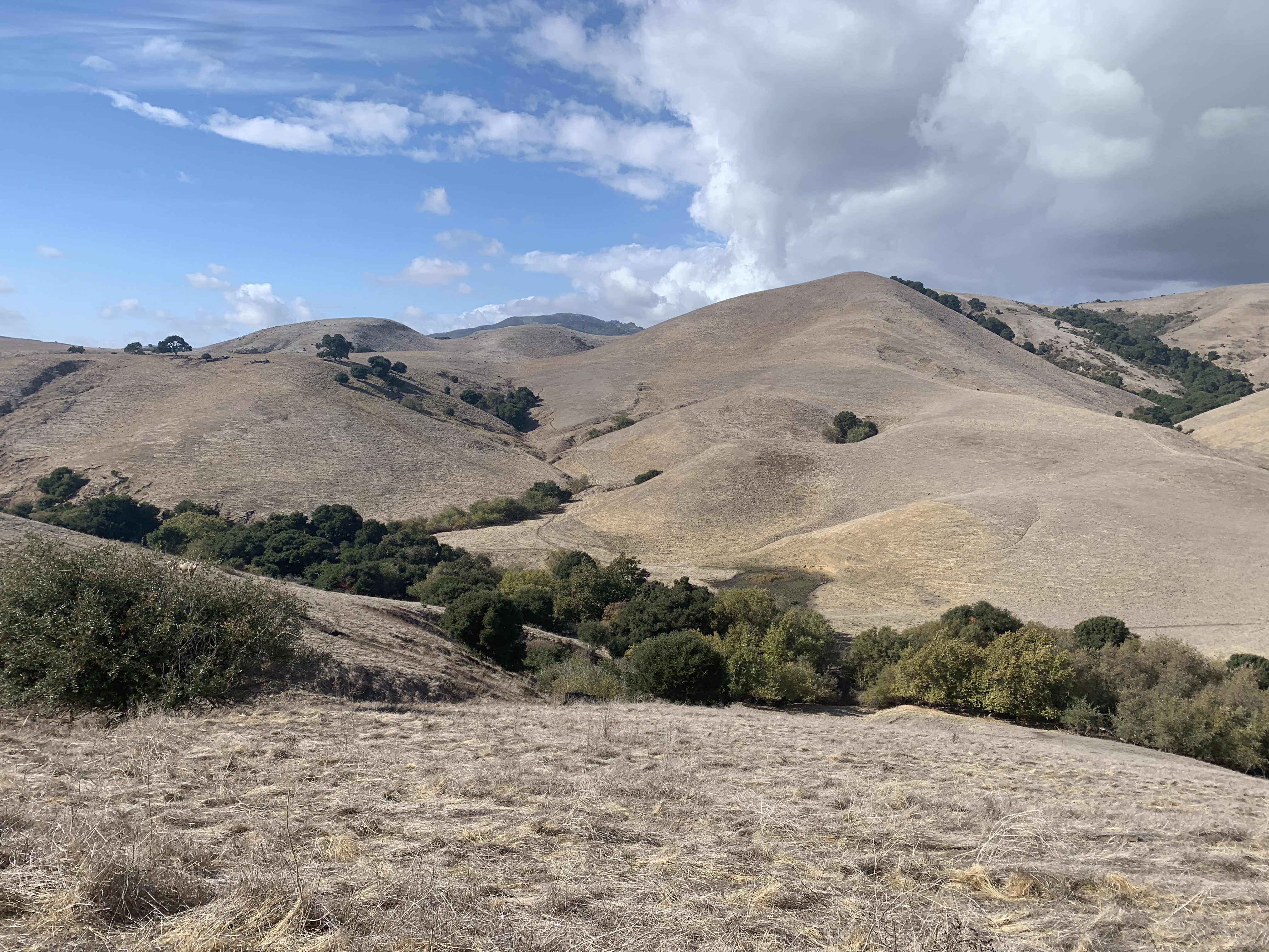 Sargent Ranch