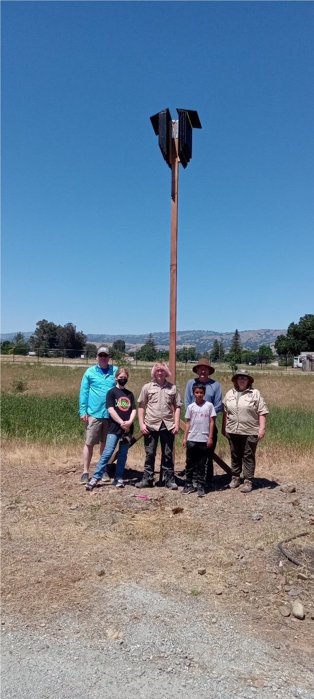 Volunteers help with the roost