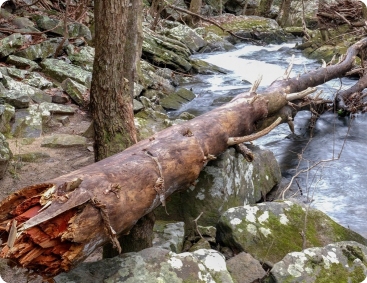 A house sits on a hillside with significant erosion, exposing soil and a damaged fence. Green grass peeks through the dirt.