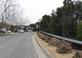 Notting Hill behind vegetation