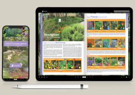 Sustainable Landscape Guidelines and Tips