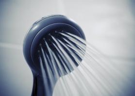 shower head