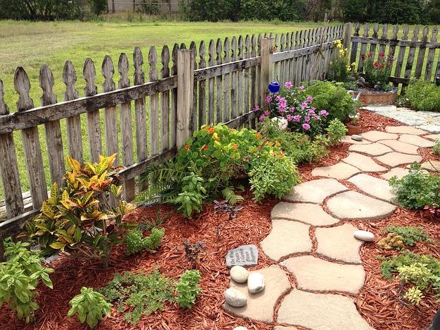 mulched garden