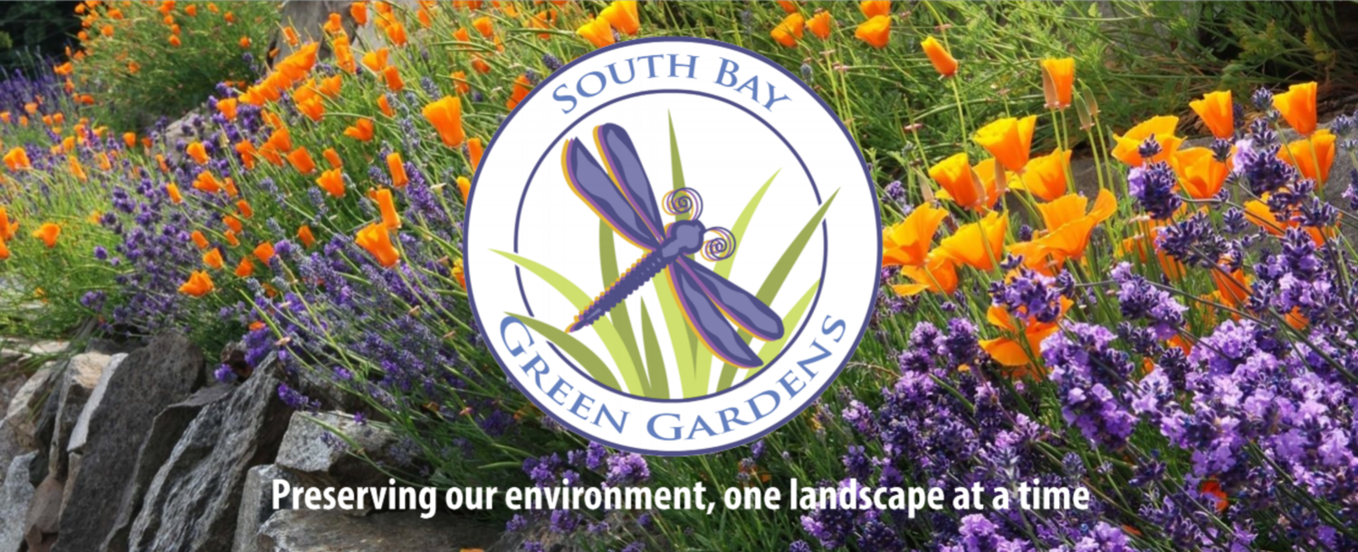 South Bay Green  Gardens logo image