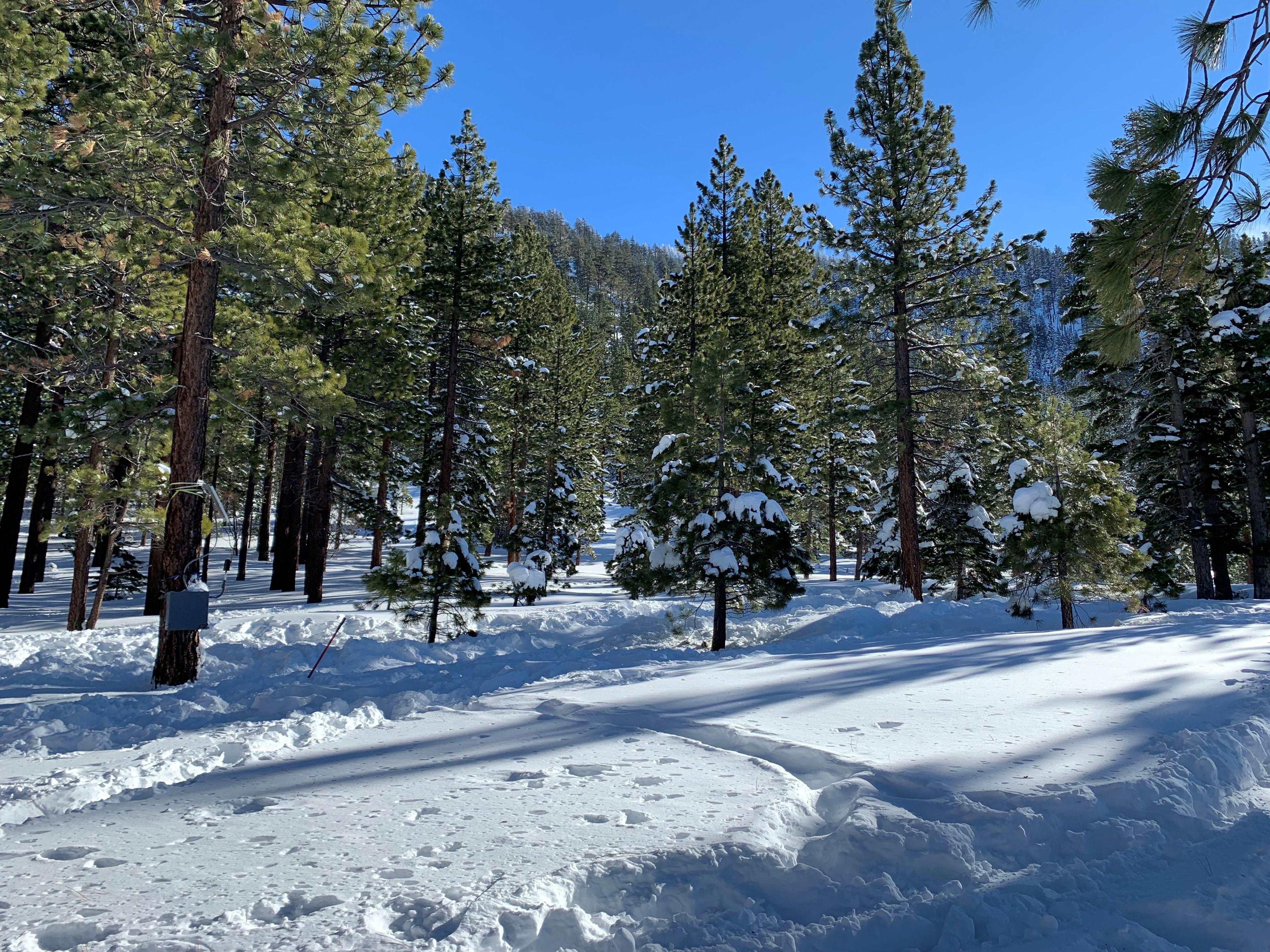 Sierra Nevada snow in December 2020