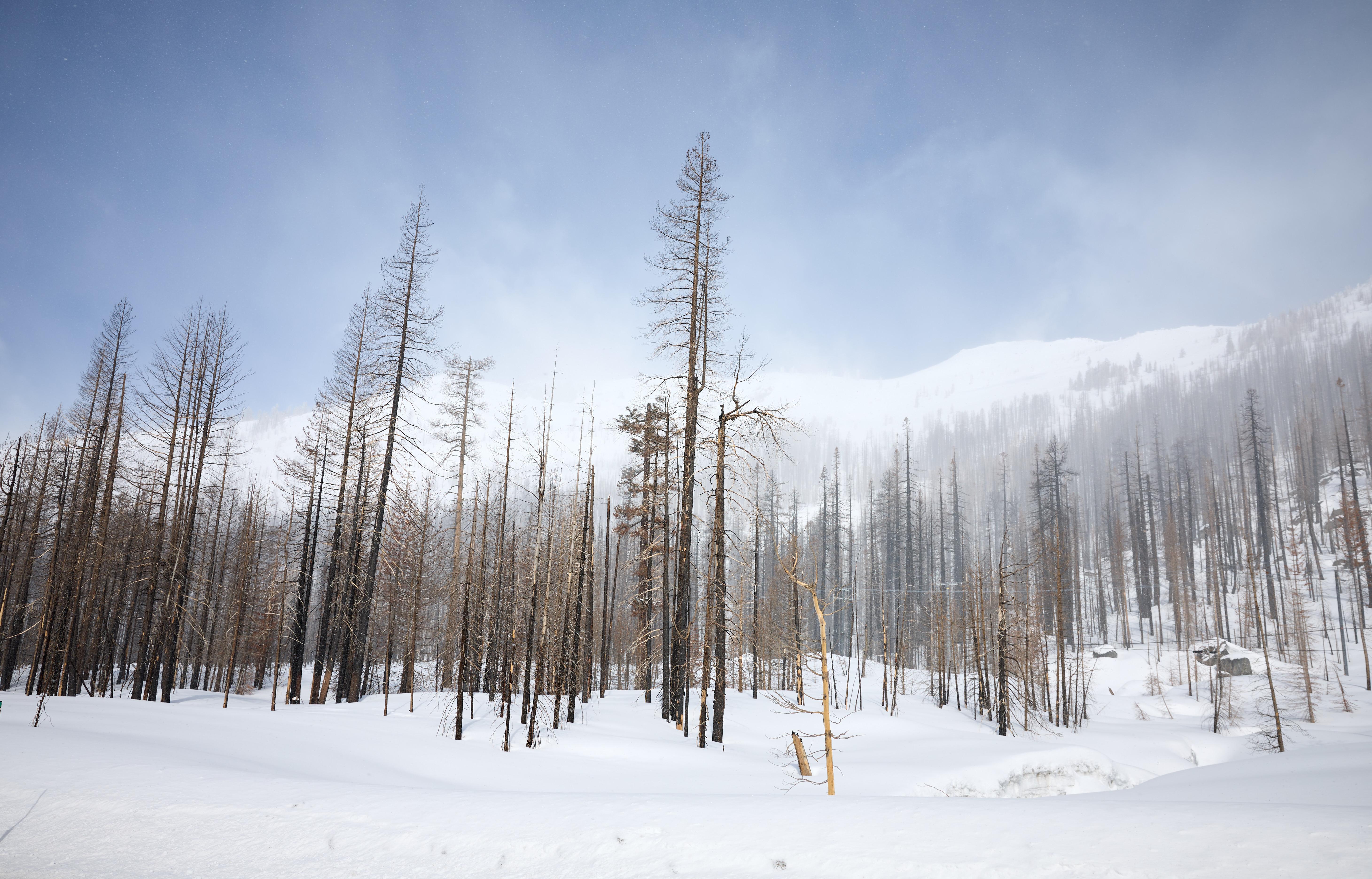 April 2023 snow survey