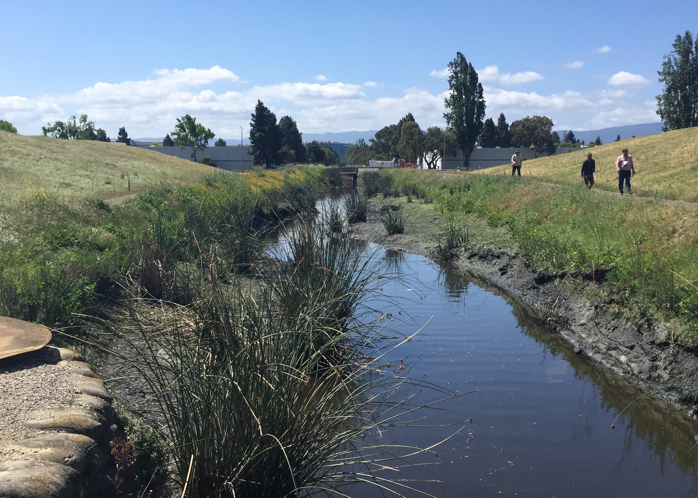 Sunnyvale West Channel towards Caribbean Drive