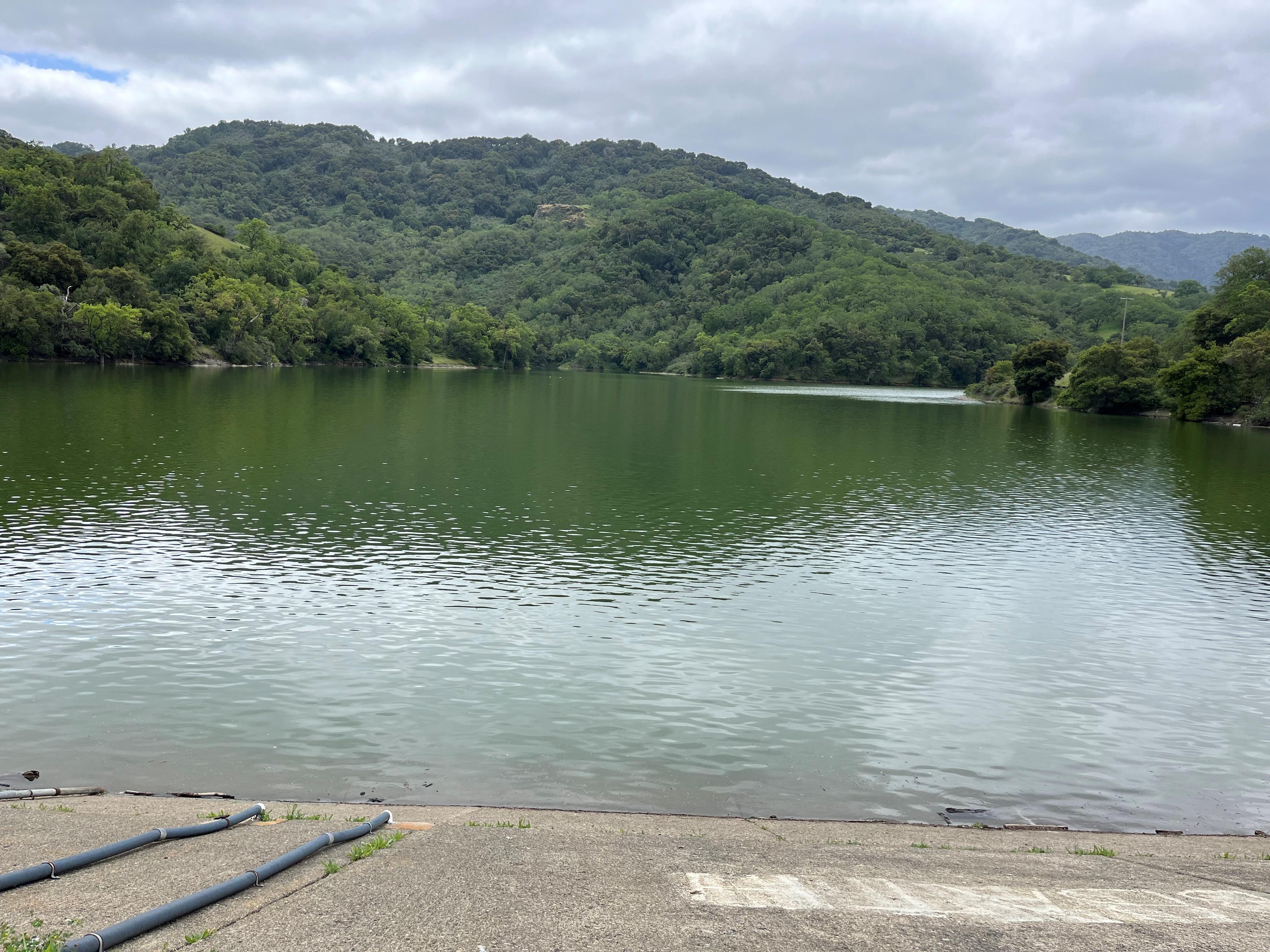 Almaden Reservoir, April 2024