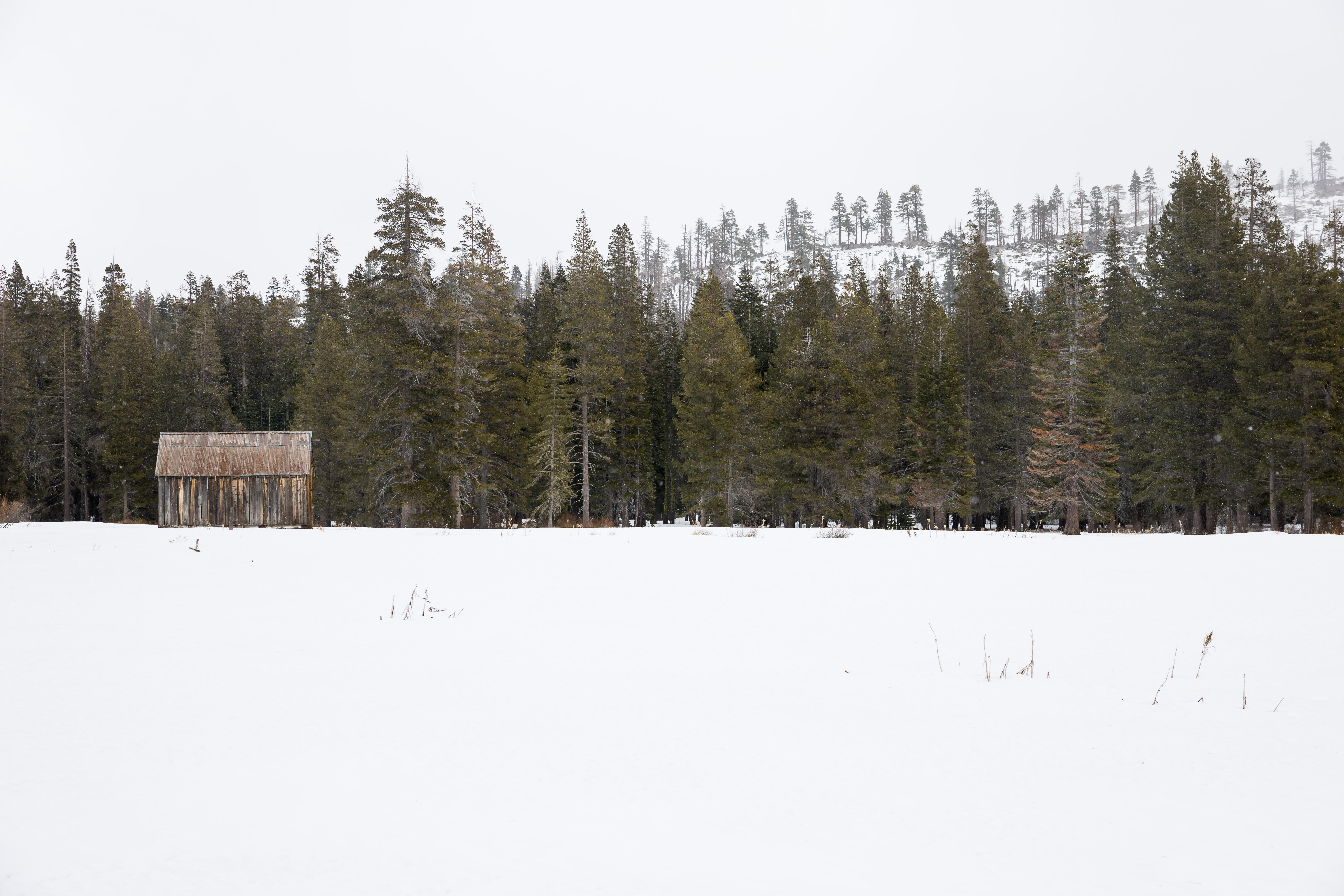 Snow survey January 2025