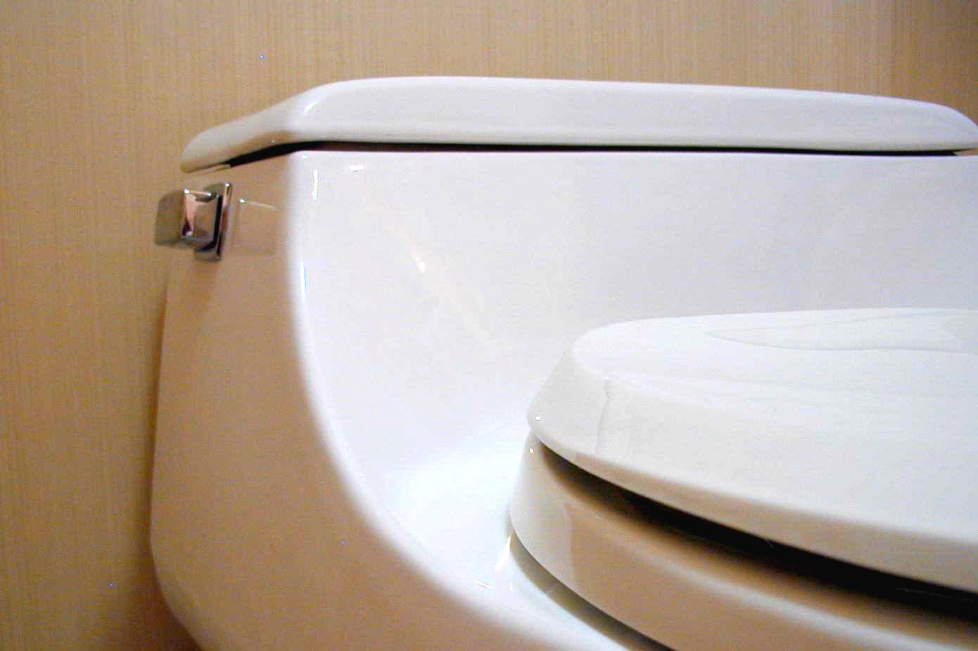 Direct Retrofit Indoor Plumbing (DRIP) Program