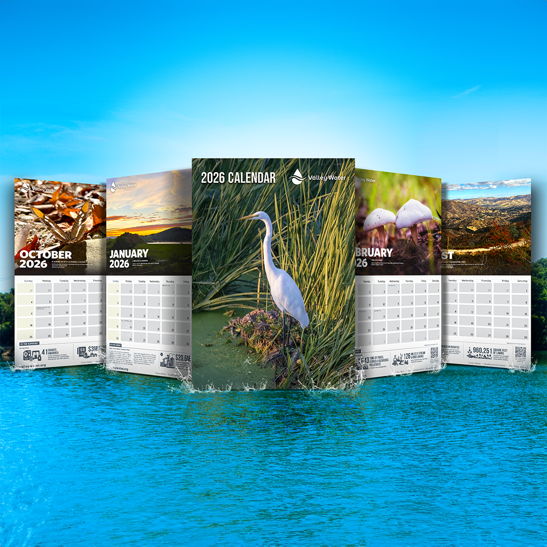 2026 calendar graphic