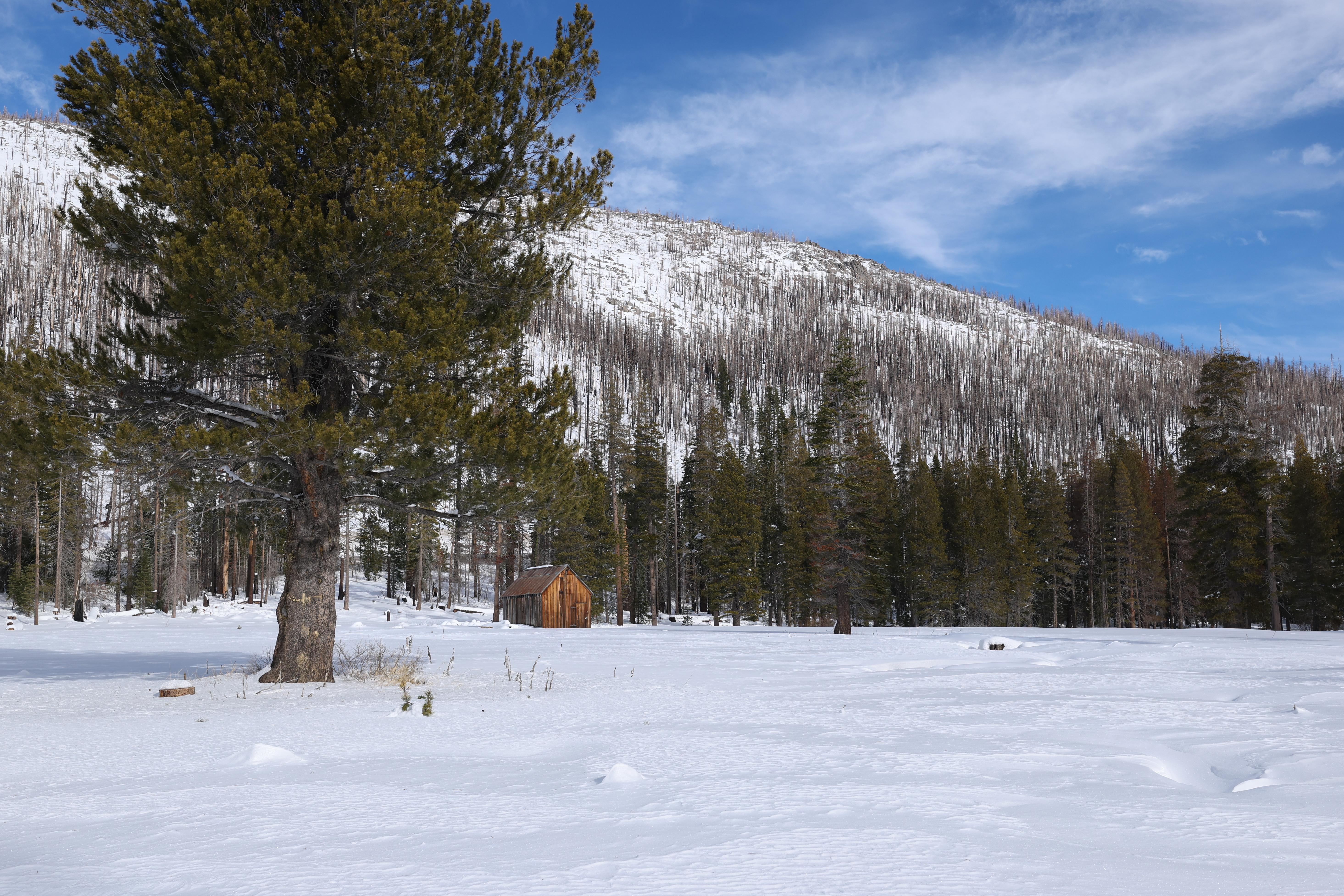 A drone view of the meadow covered in snow where the California Department of Water Resources conducted the first media snow survey of the 2026 season at Phillips Station in the Sierra Nevada. 