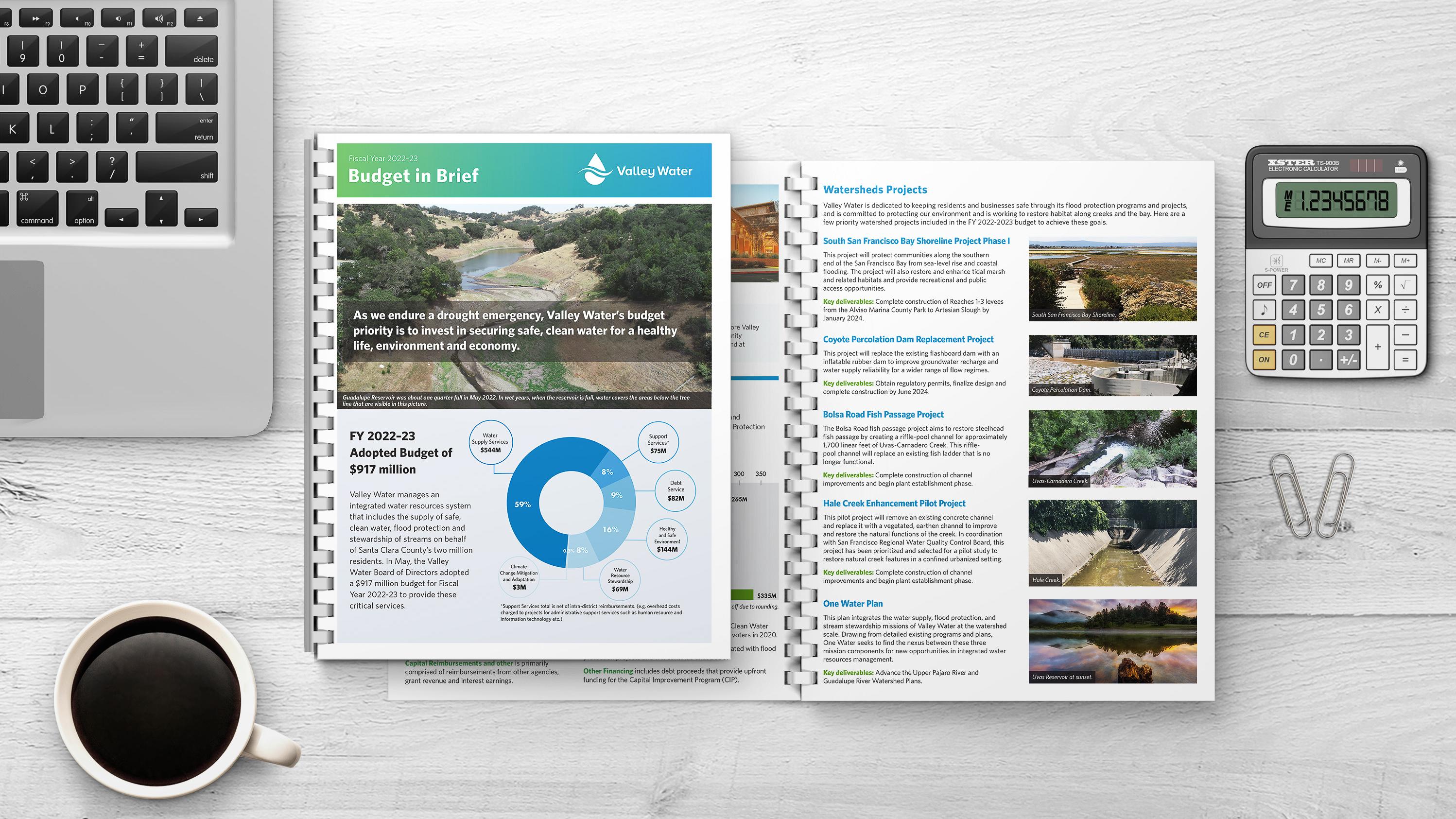 Budget Report mockup