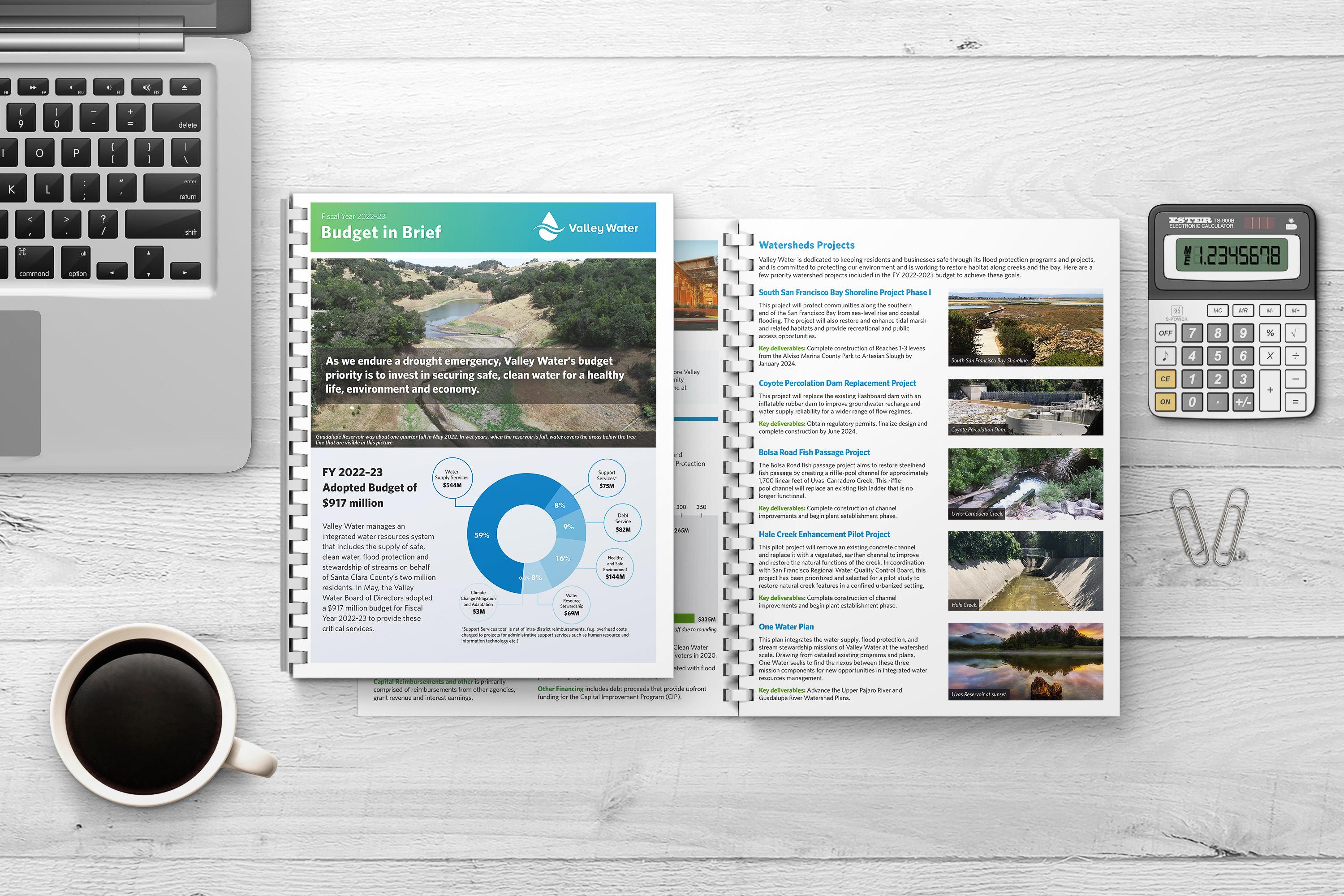 Budget Report mockup