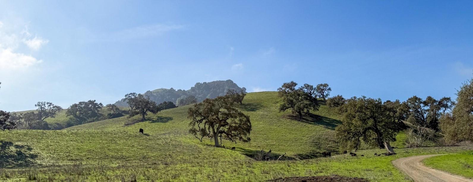 Sargent Ranch Open Space