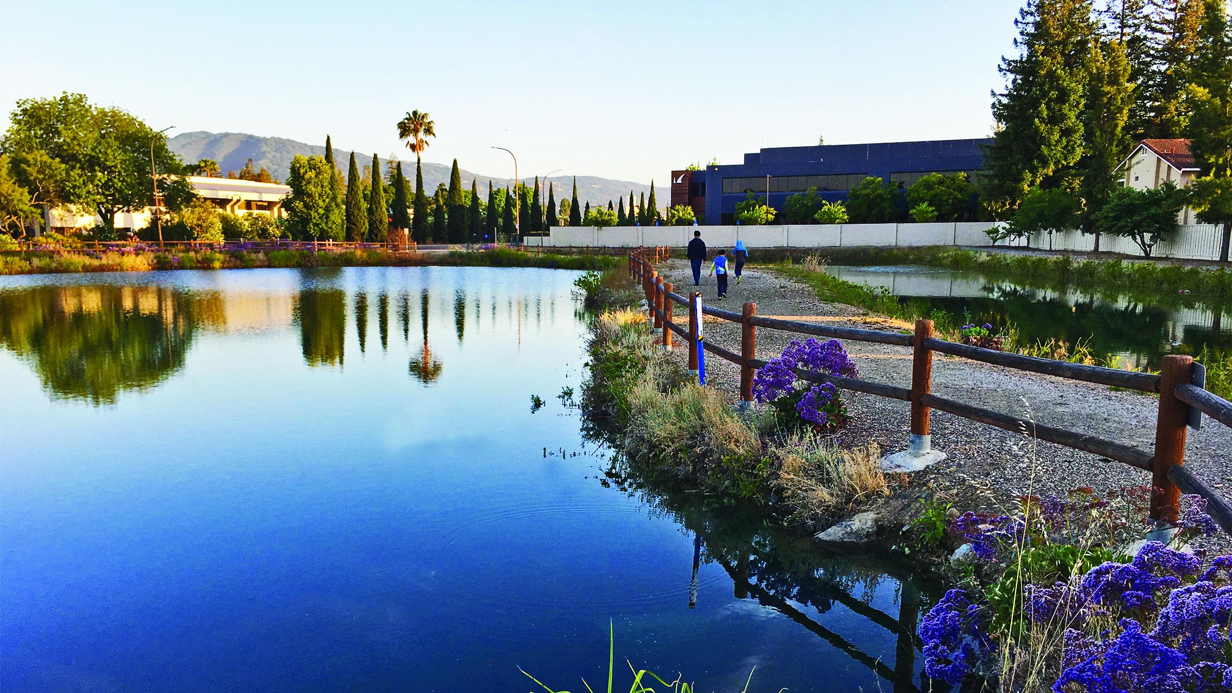 A percolation pond with a trail to the right for pedestrians.