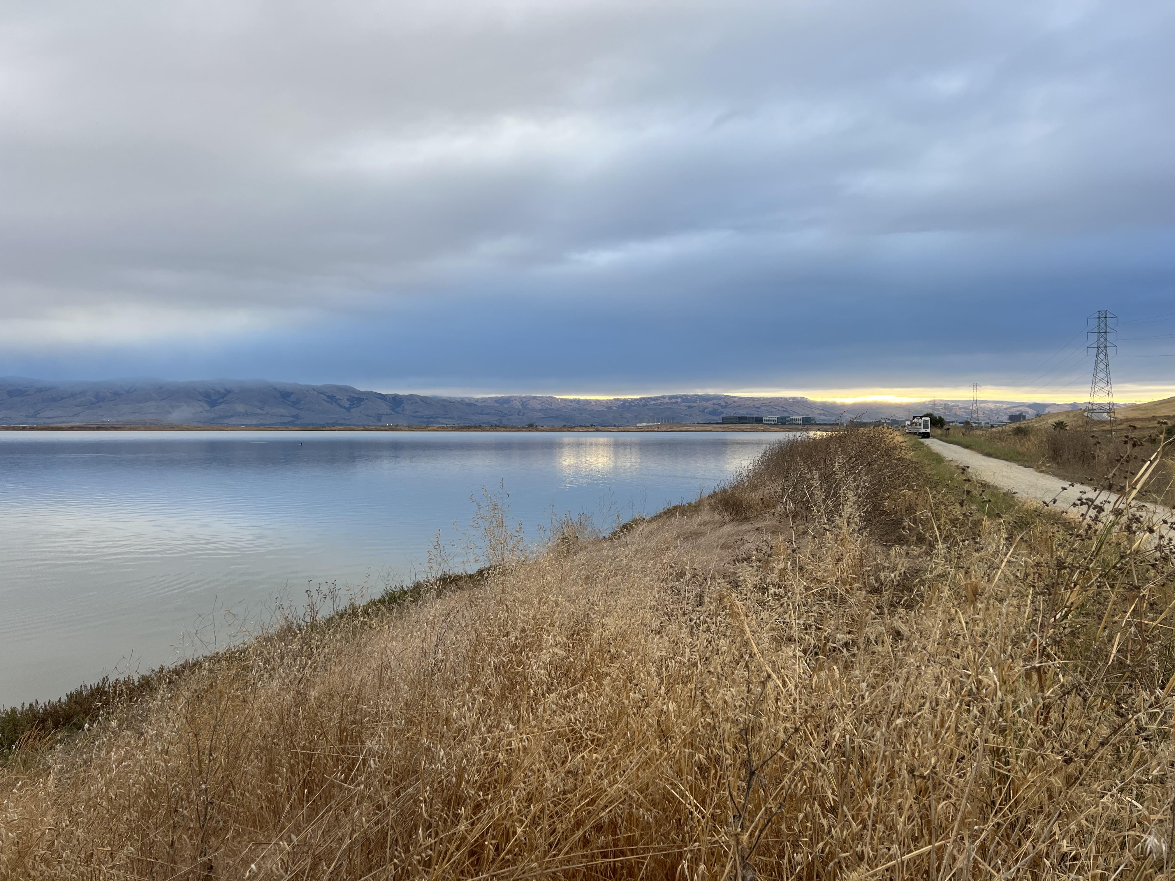 A view of the existing Pond A4.