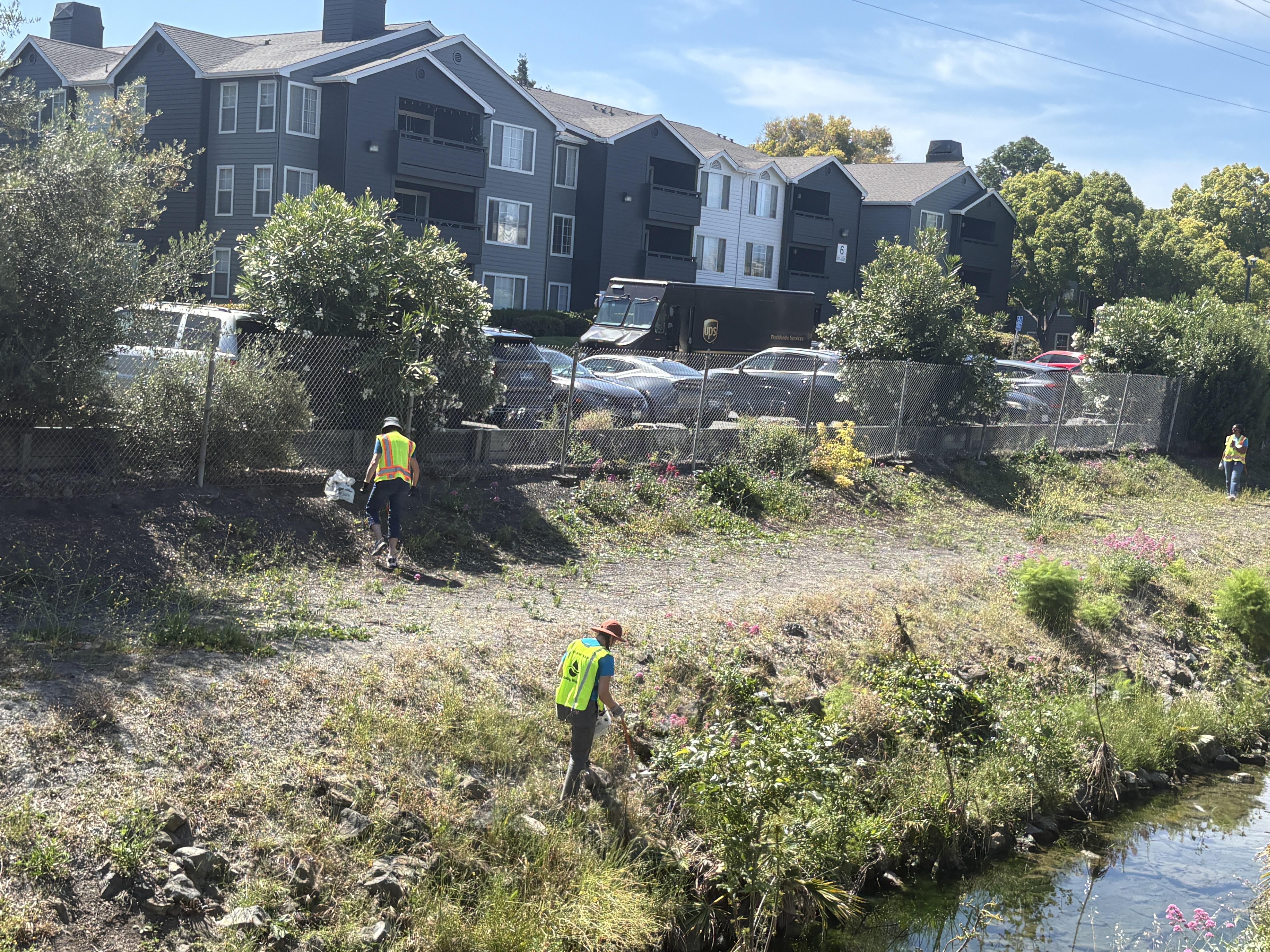Volunteers picking up litter at the Sunnyvale East Channel.