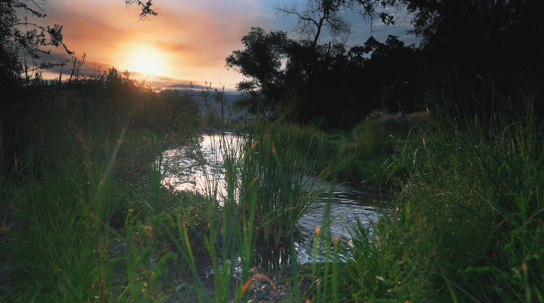 A view of Lake Silveira highlights Valley Water’s work to create new wetland habitat and restore steelhead habitat along Llagas Creek in unincorporated Morgan Hill near the San Martin border.