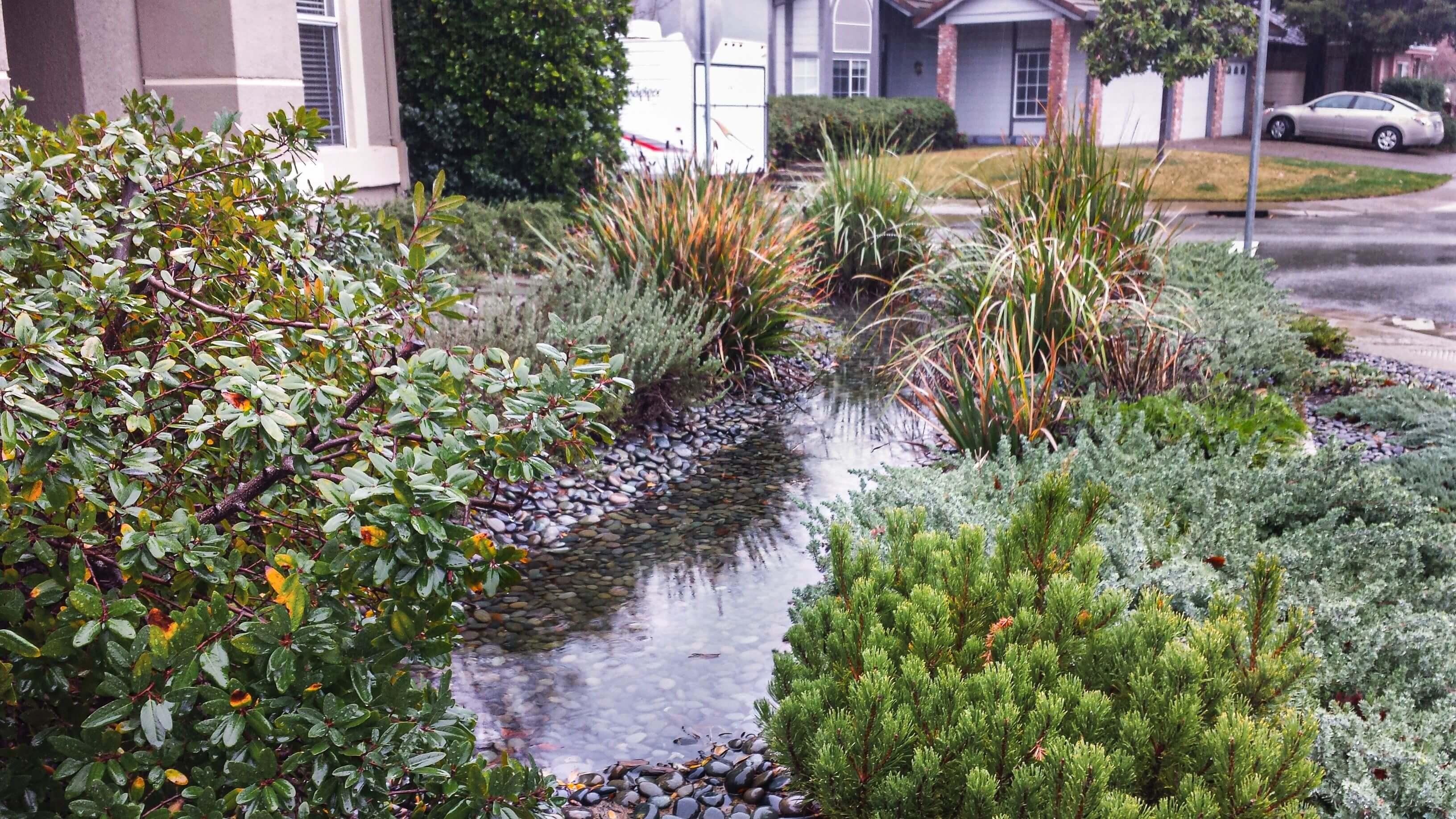 Water Conservation Rain Capture 2
