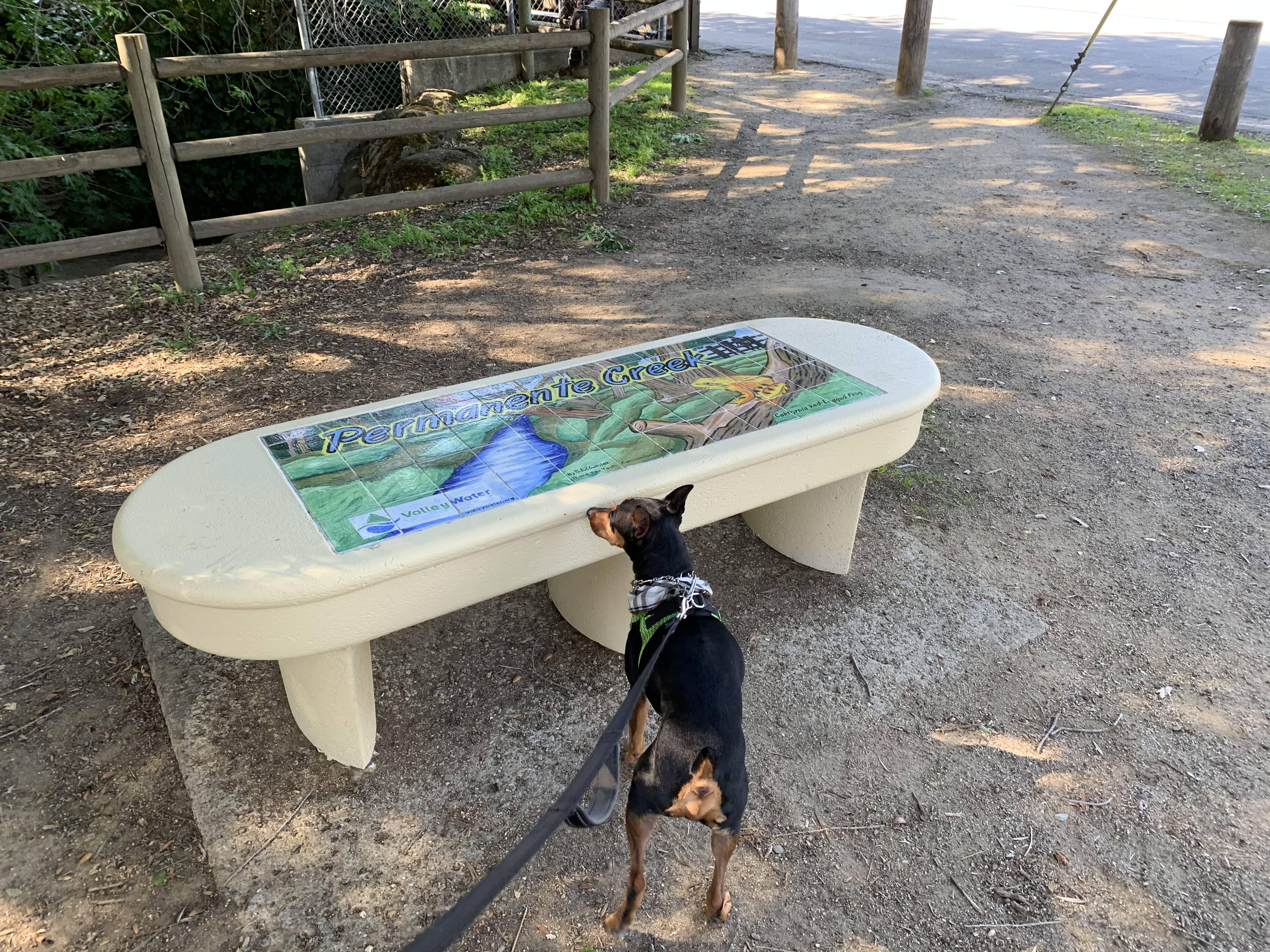 Adopt-A-Bench Photo D7 Permanente