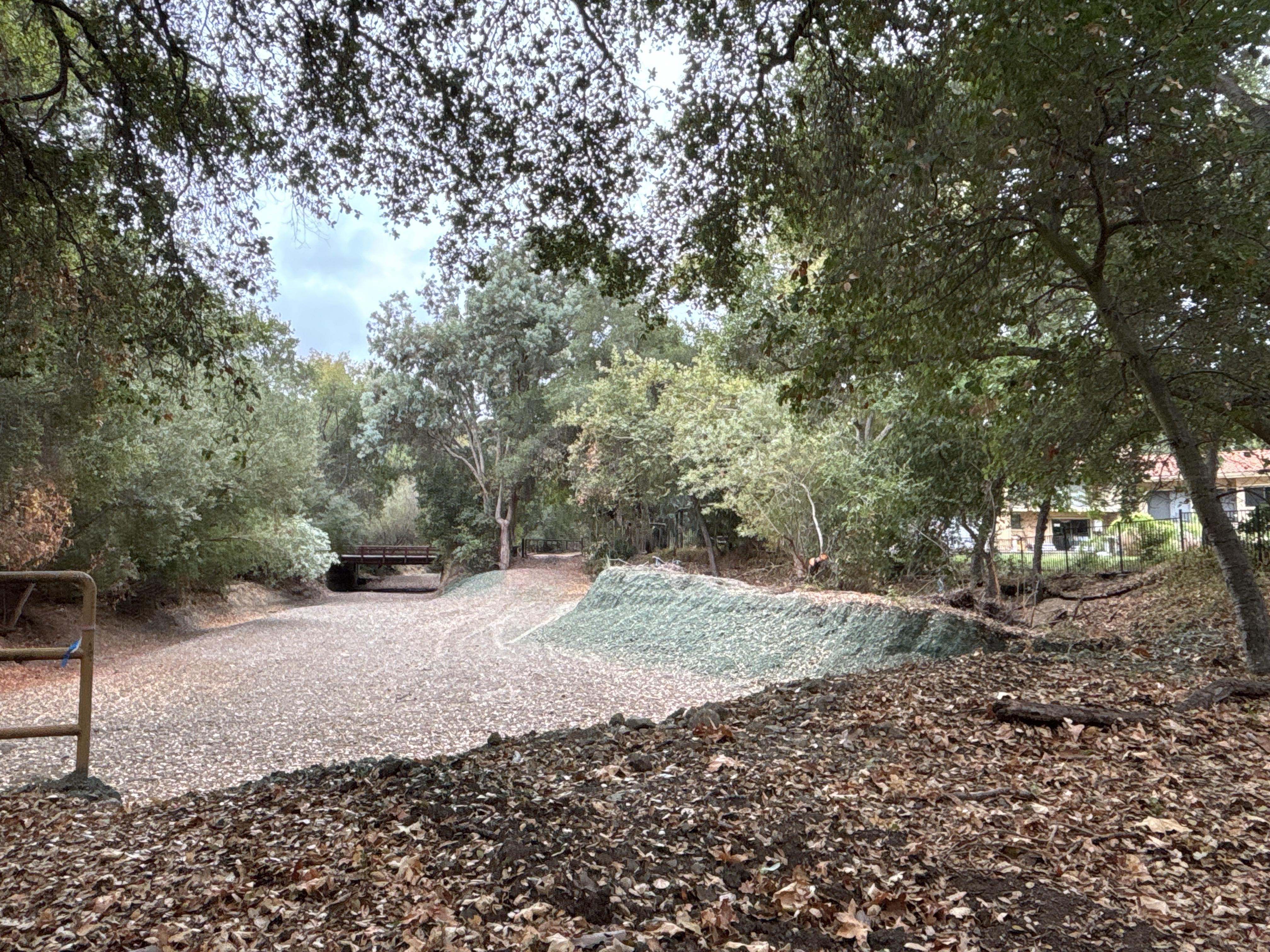 04 calabazas-comer_after DM