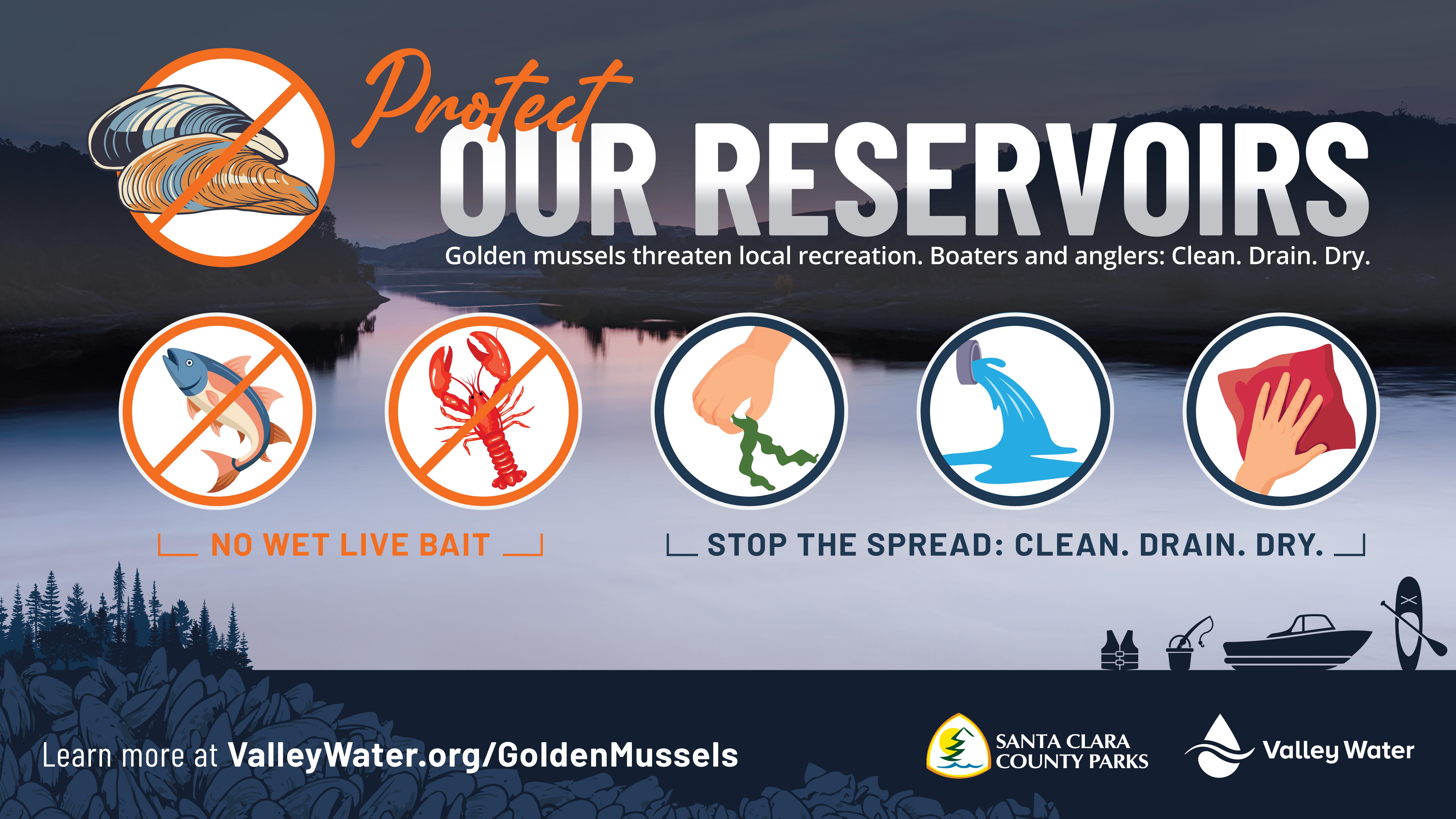 Banner showing a reservoir at sunset with the headline “Protect Our Reservoirs.” It warns that golden mussels threaten local recreation and urges boaters and anglers to “Clean. Drain. Dry.” Icons show prohibited wet live bait (fish, crayfish, mussels) and steps to stop the spread: remove plants, drain water, and wipe down equipment. Footer includes ValleyWater.org/GoldenMussels and logos for Santa Clara County Parks and Valley Water.
