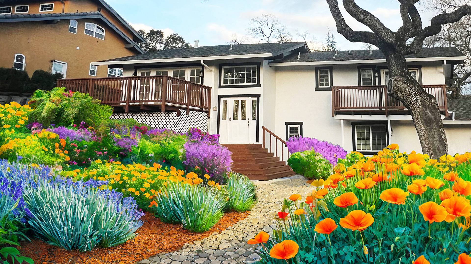 A home with a wooden deck and balcony is surrounded by a vibrant, drought-tolerant garden filled with colorful flowers like orange poppies, purple blooms, and green shrubs, with a stone pathway leading to the front door and a large tree in the yard.