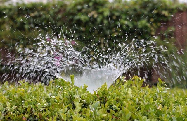 sprinkler irrigation
