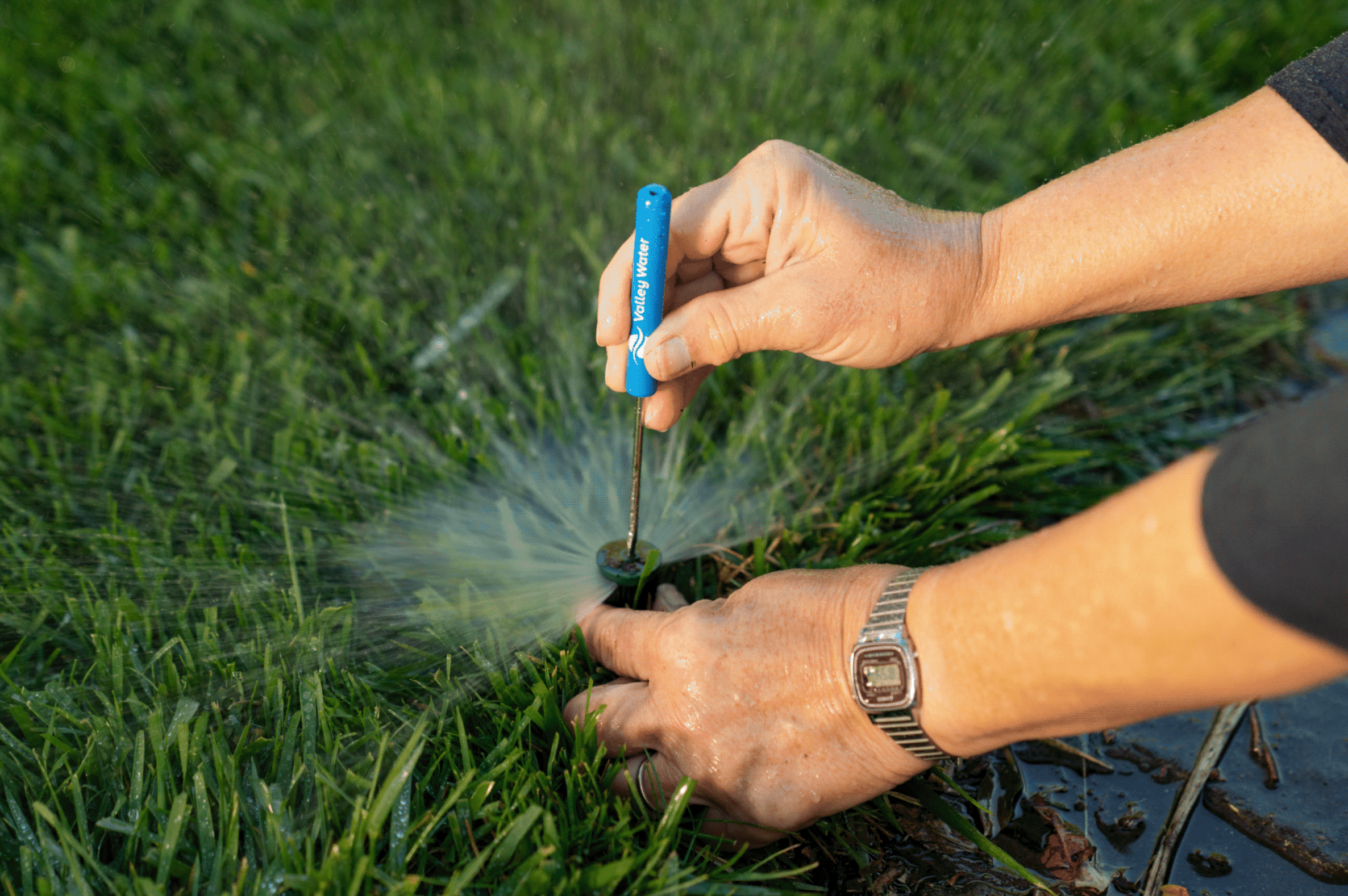 Outdoor Water Survey 3