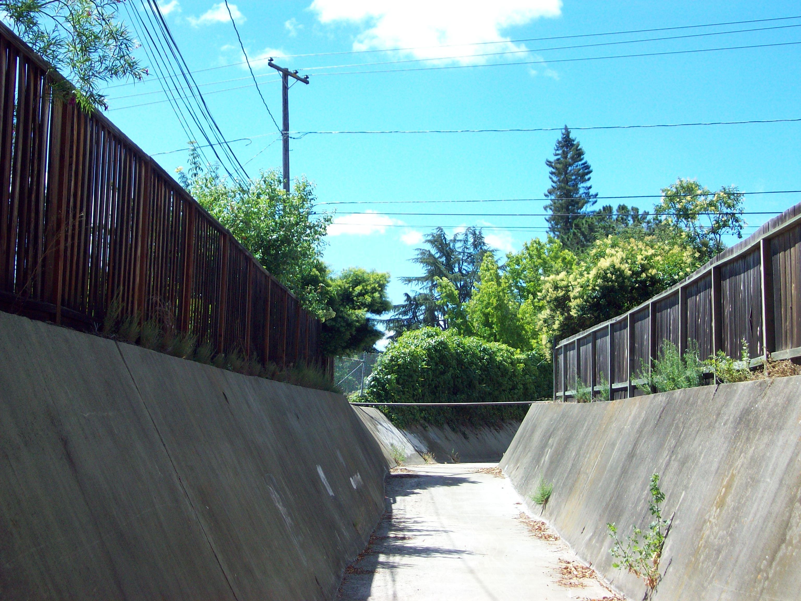 Hale Creek 