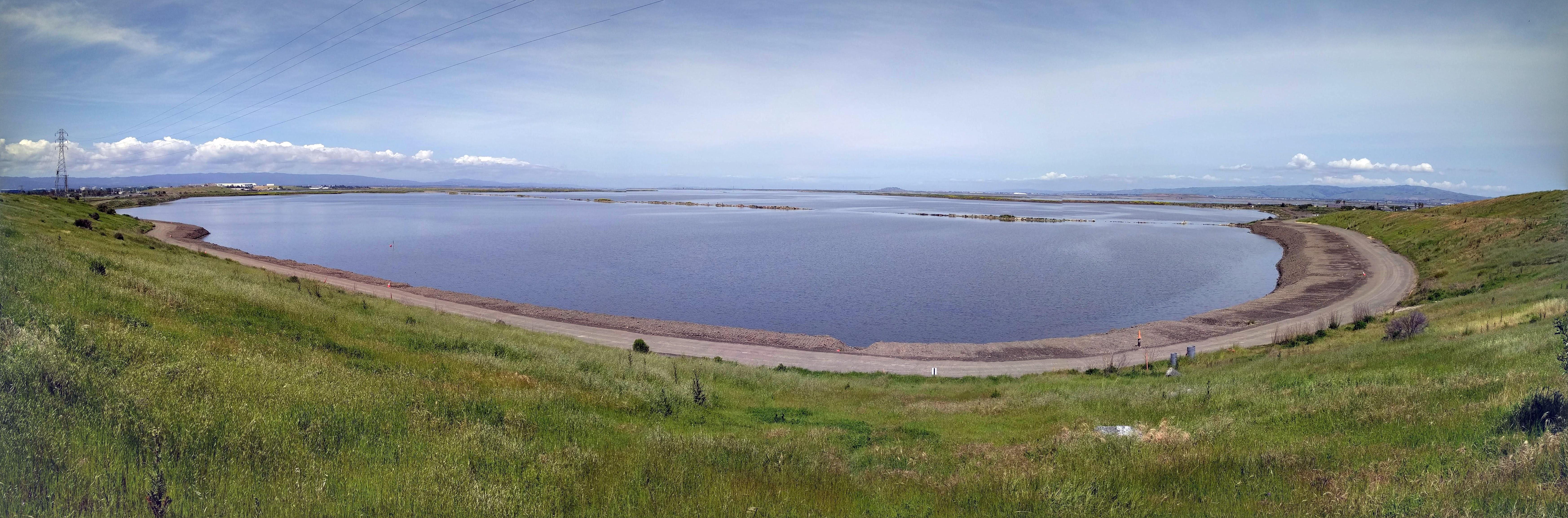 Sediment Reused Build along Maintenance Road at Pond A8