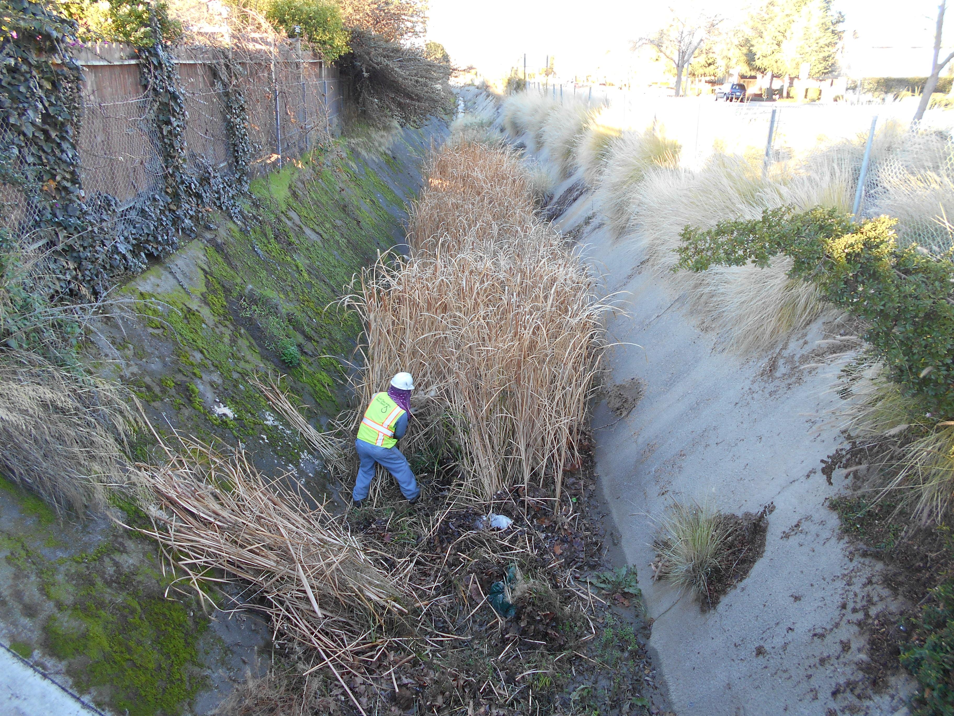 Los Coches Creek 