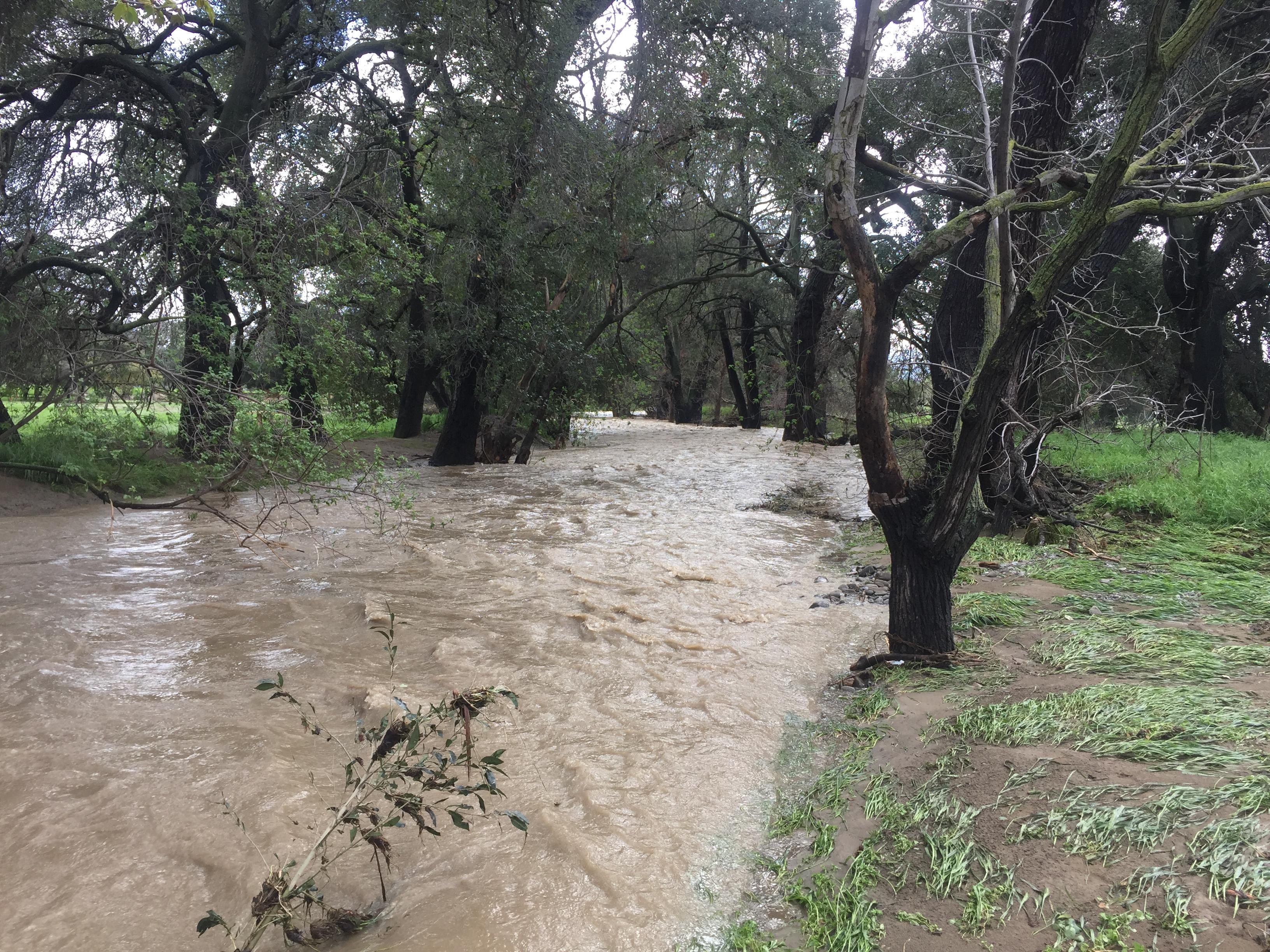 Upper Pen Along Commodore Park