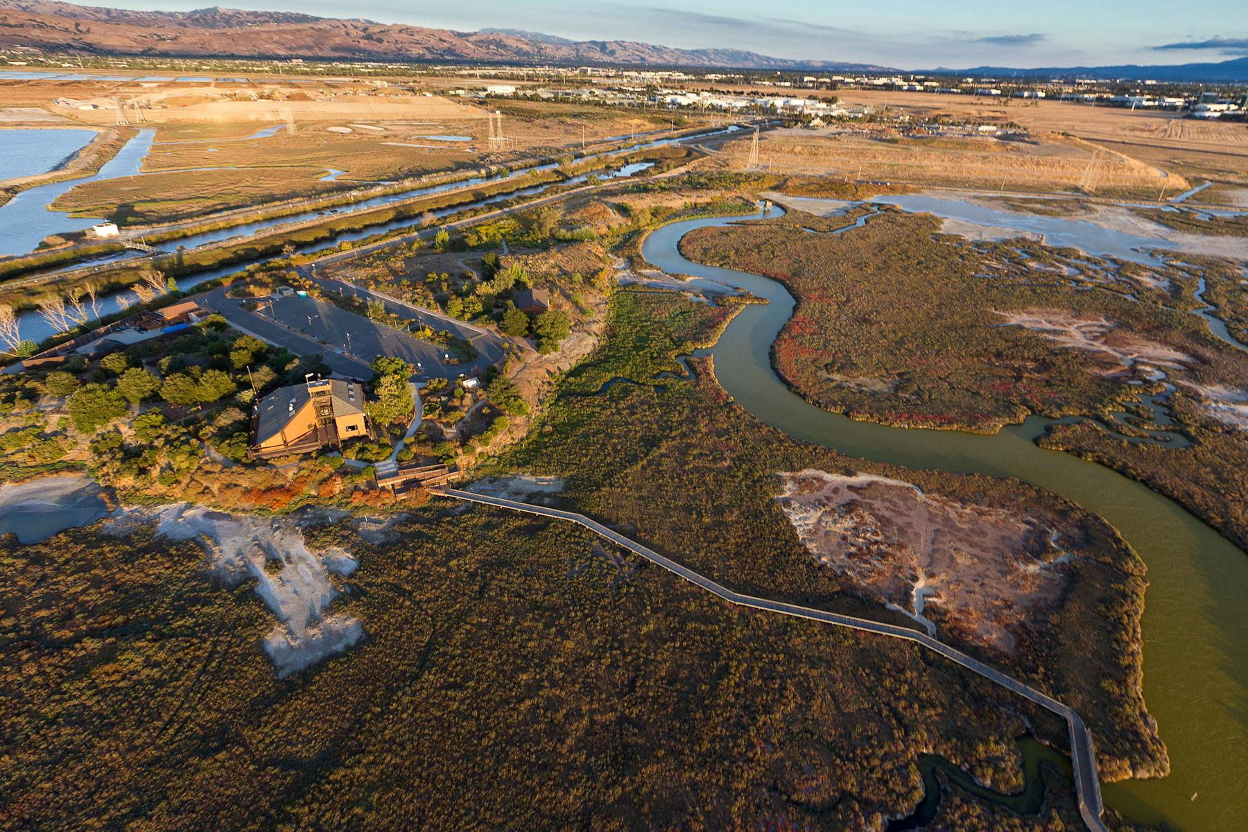 Shoreline - Chicago Marsh Cris Benton