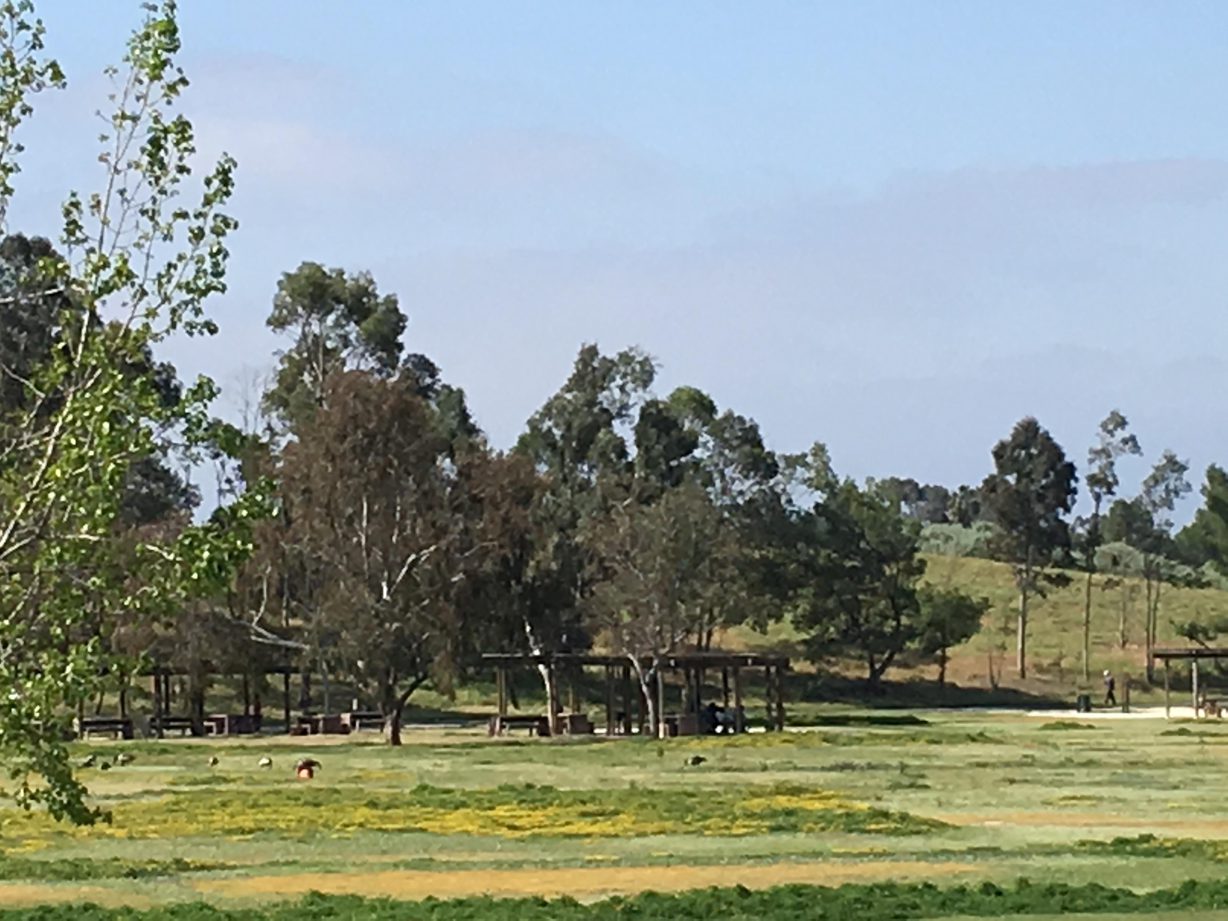Lake Cunningham Park