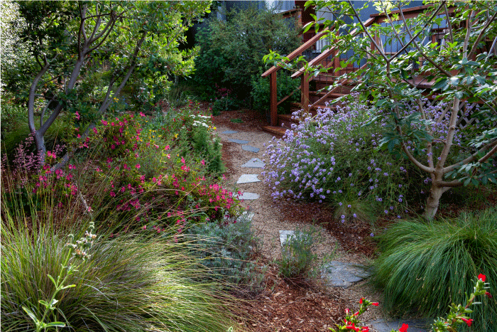 Native landscape