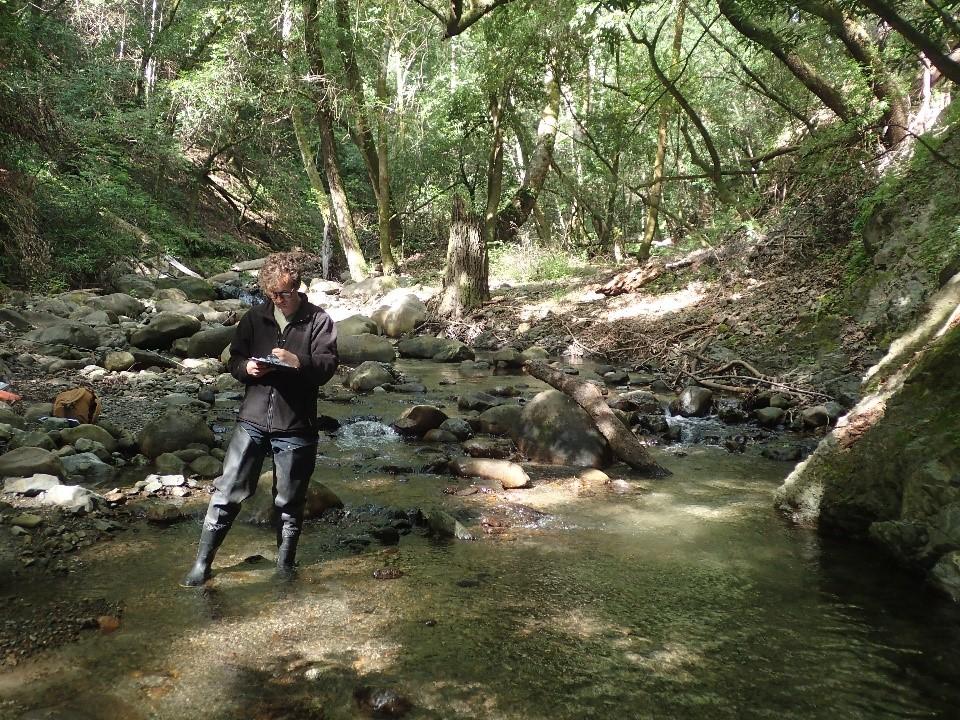 VW biologists conduct CRAM survey on SCC creek