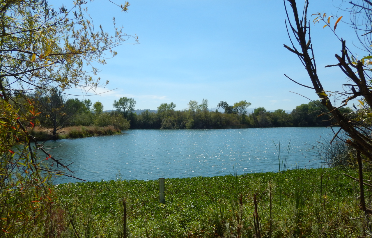 Ogier Pond