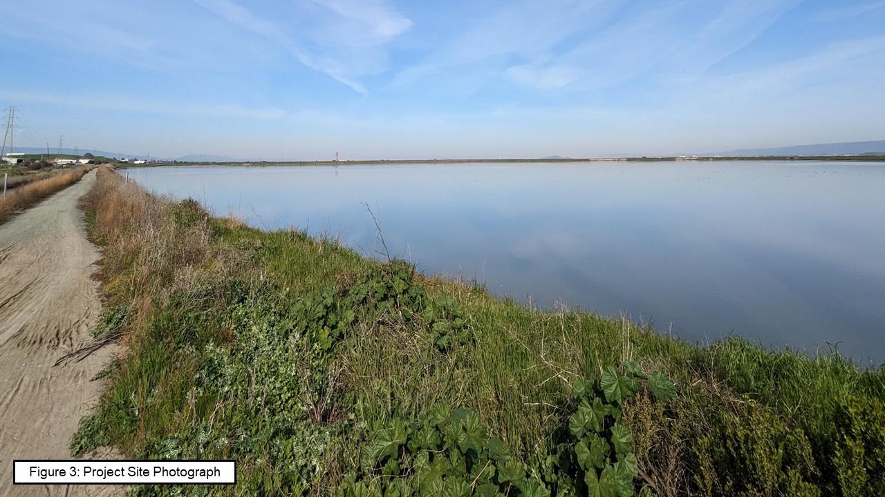Pond A4 project site