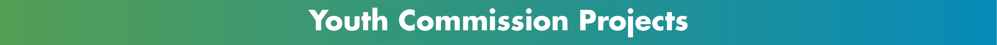 Youth Commission Projects