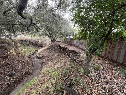 RegnartCk - Stormwater is eroding this section of the bank as it moves toward the neighboring property line