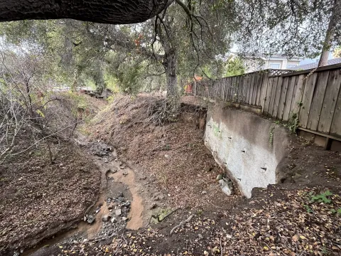 RegnartCk - A concrete wall was placed behind the neighboring property. The roots from the tree next to the wall are also exposed.