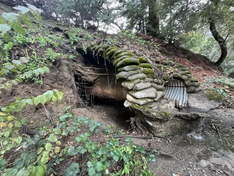 RegnartCk - Stormwater has intruded into the bank, undermining the stability of this outfall. Outfalls carry stormwater from the street to the creek
