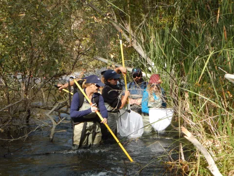 Employees cleaning watersheds