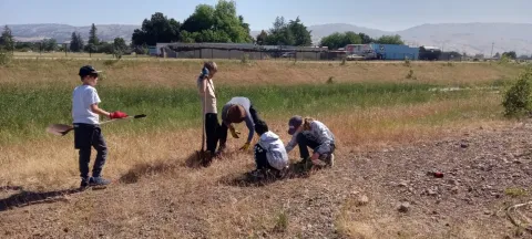 Scout Troop 730 searches for a location to install the bat roost.