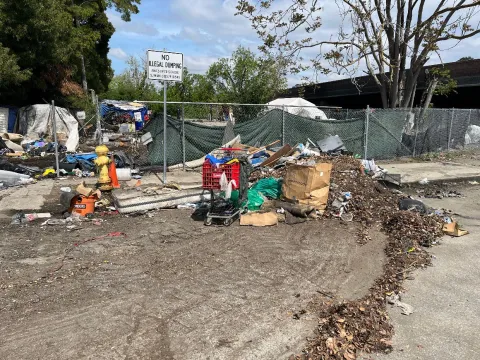 Guadalupe encampment cleanup at Willow Street 