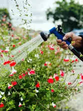 Garden Nozzle