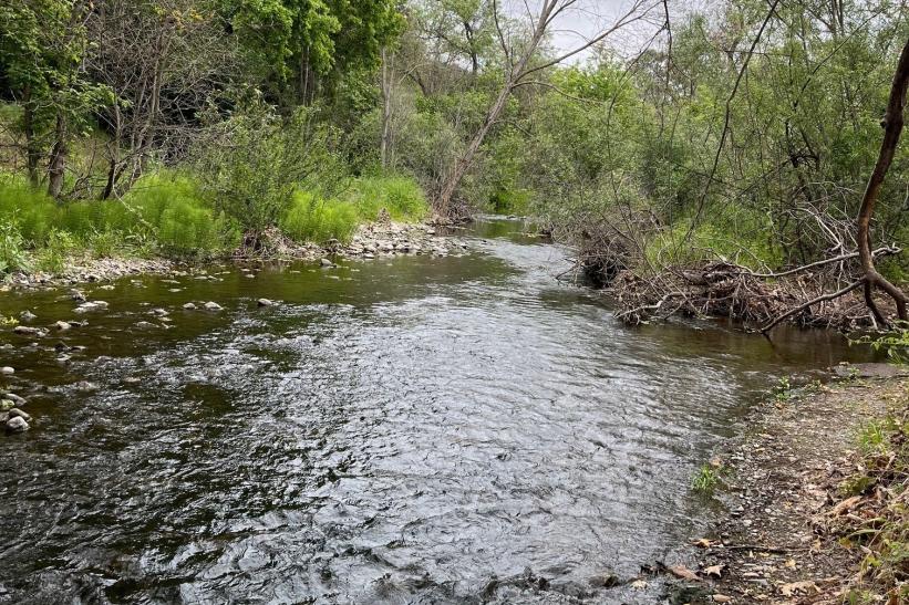 Alamitos Creek in San Jose